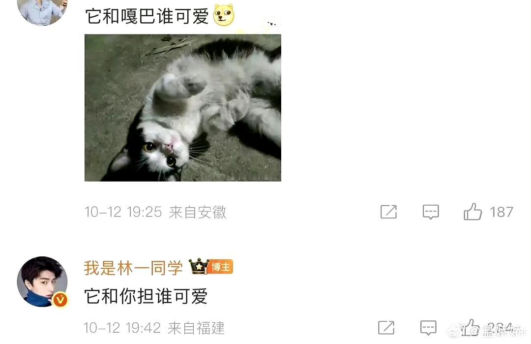 林一给虞书欣倒油了
合作过的没有几个人不烦她的。
资本家丑孩子唯利是图，唯我独尊