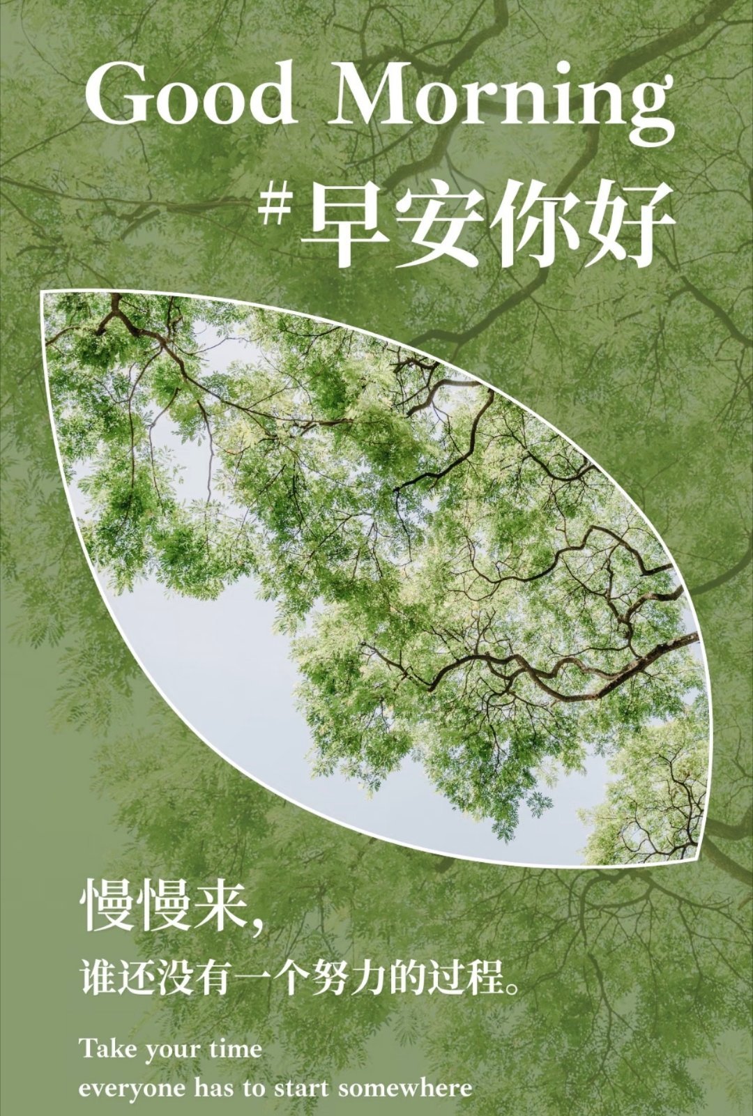 早安 生活如茶，须静心品味；人生如路，需脚踏实地行走。珍惜眼前时光，莫负美好韶华