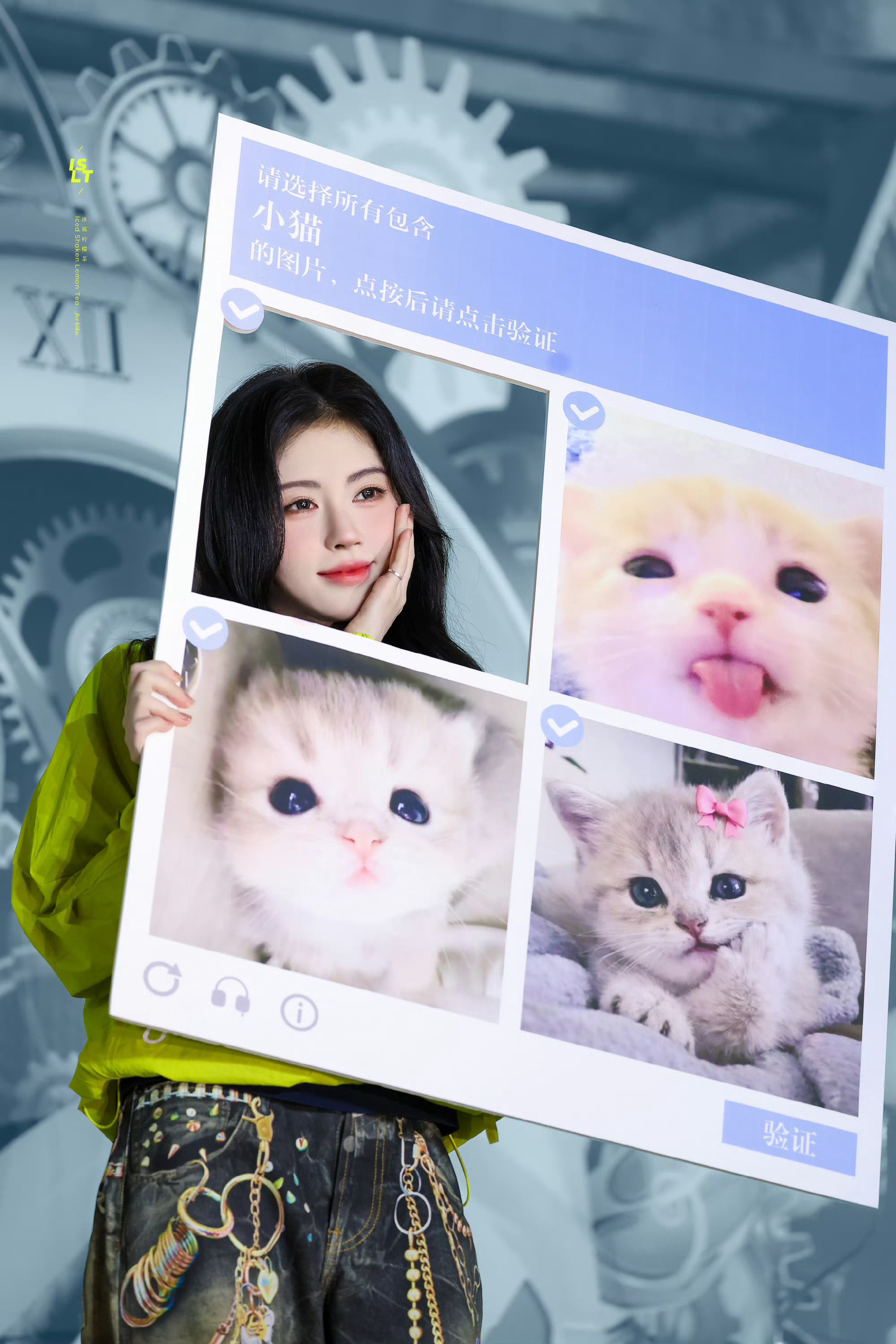 就是小猫！ 