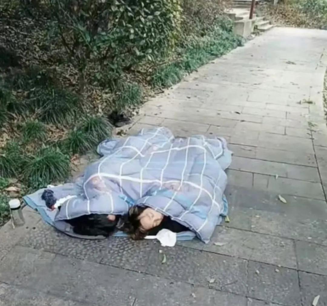 这是什么行为艺术？所谓的“风餐露宿”说的就是这俩吧？
他们为什么要这样？是真实情