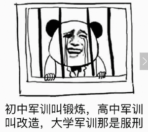 张雪峰谈要不要出省读大学我挺赞成这句话的，如果你能在本省读到好大学就不要离开本省