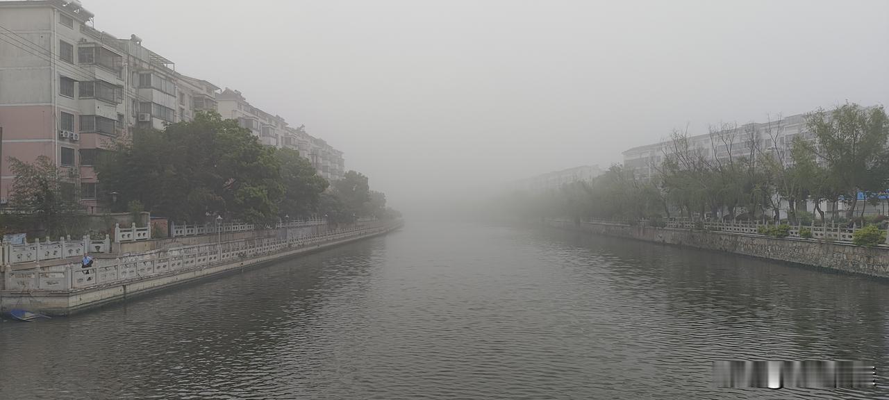 海安大雾，如入仙境
早晨，一出门就被这浓雾迷住了。本来只是走走，不知不觉沿着常跑