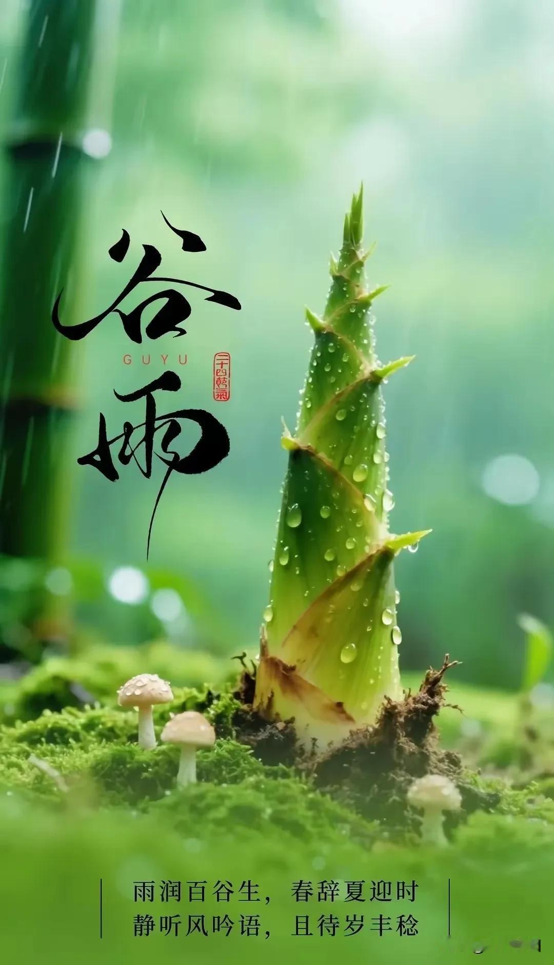 《清平乐·谷雨寄情》
 
谷雨将晚，
春尽芳菲暖。
细雨和风舒意满，
情寄人间千