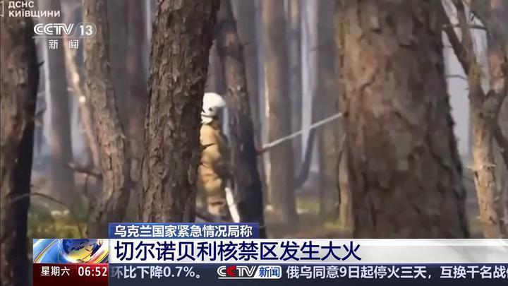 切尔诺贝利核电站周边动物逃离有可能带来核污染毕竟他们体内都有核辐射
切尔诺贝利核