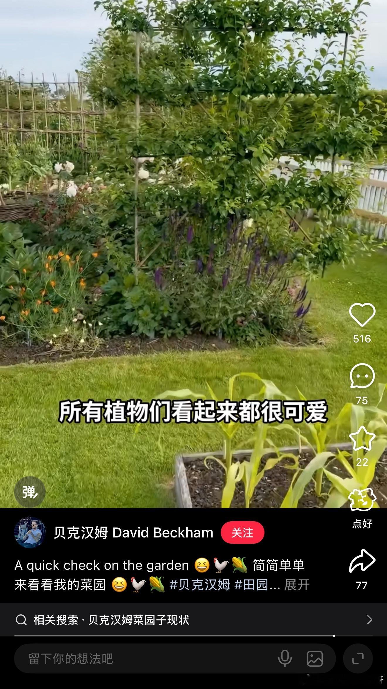来看看贝克汉姆的日常生活吧这不就是我们追求的退休后的生活吗厉害了，足球⚽️届和电
