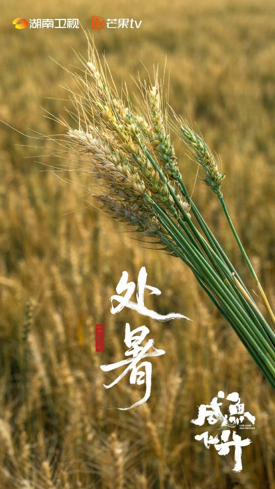咸鱼飞升杀青特辑咸鱼飞升 朋友们嘲笑宋潜机“修的是地仙”，他却认真说“地仙也是仙