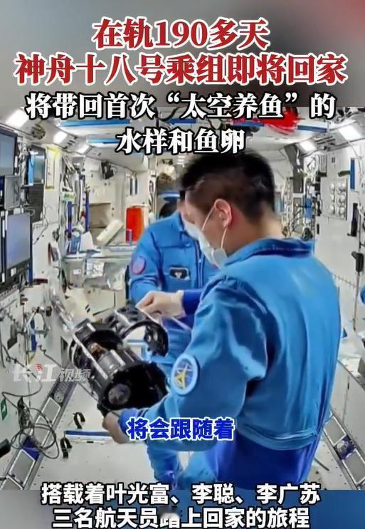 神舟十八号航天员凯旋！带回太空鱼卵！11月3日，神舟十八号载人飞船成功返回地球，