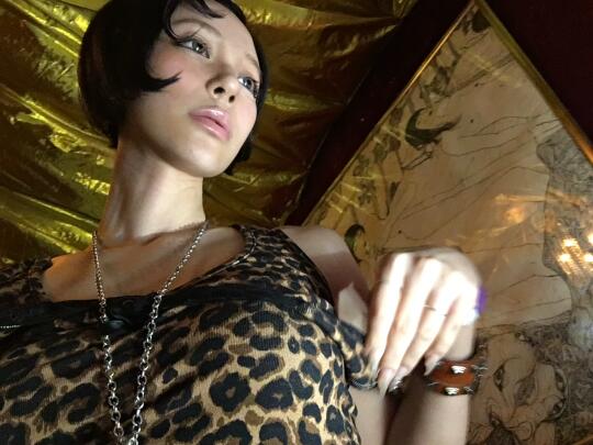 🐆豹子小姐的一天