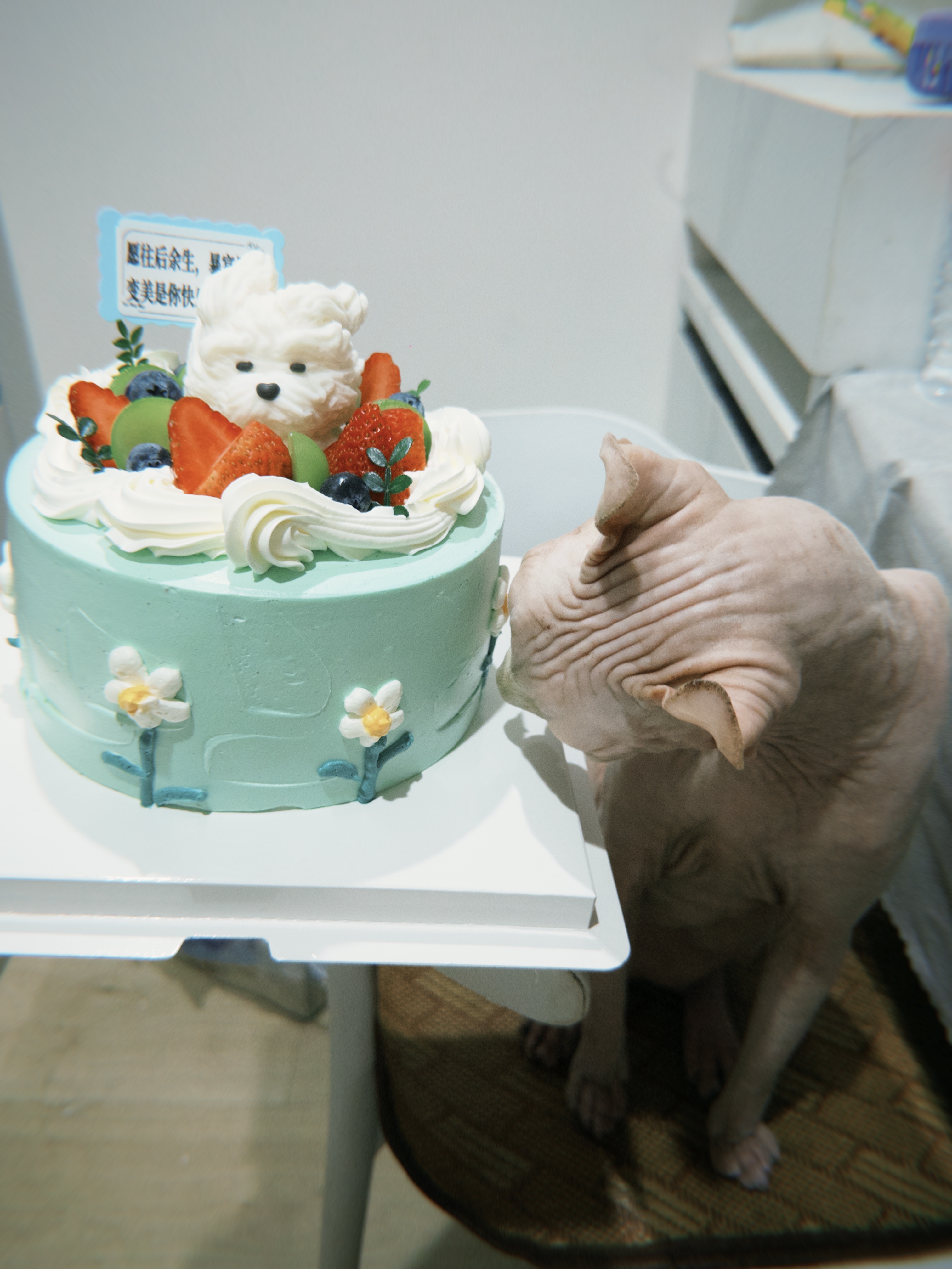 [doge][么么哒]世界等级已升级 ⬆️新的一岁  一切如愿🎂 ​​​