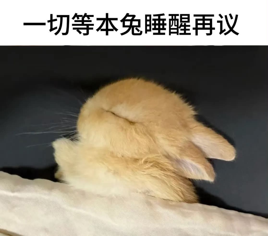 霖霖晚安李沛恩[超话] ​​​