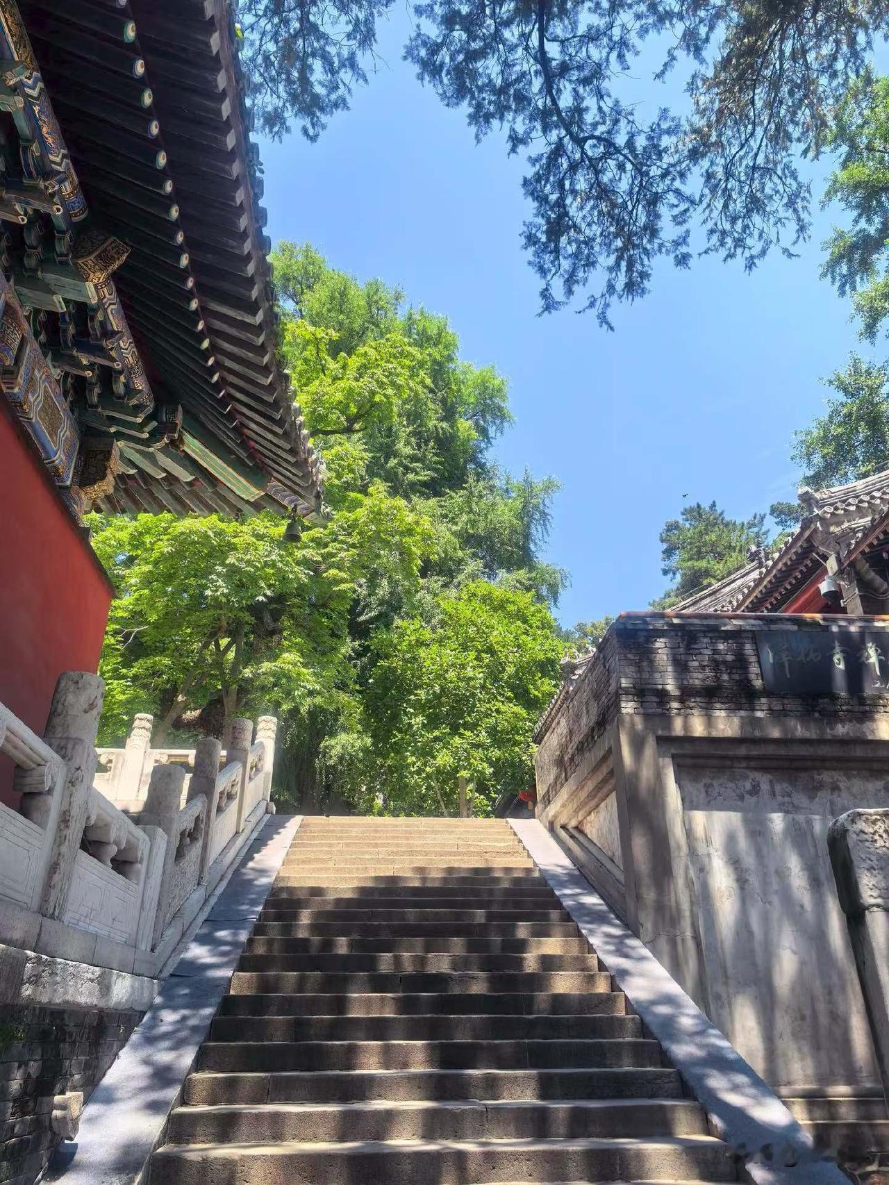 a股中长期还是主线赛道硬科技，
国家投资扶持的产业链，
算力，通信，产业链，
主