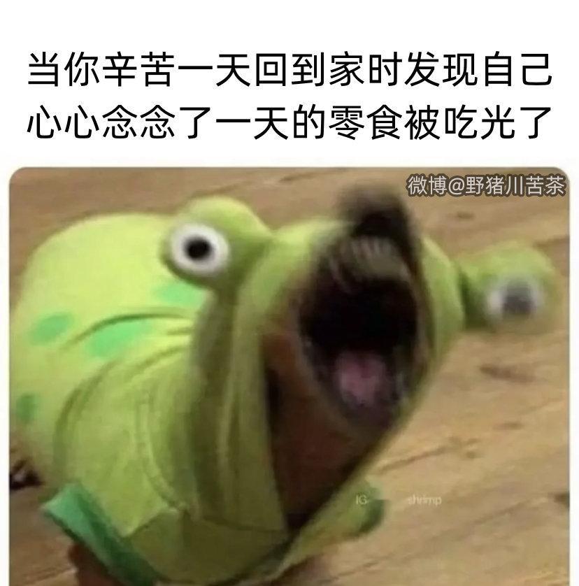 毁灭吧 