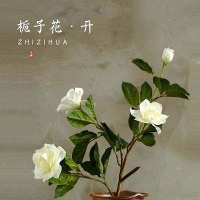 那温润的栀子花，在阳光的烤炙中凿出一道香味的河。浓而不烈，清而不淡。令人心旷神怡