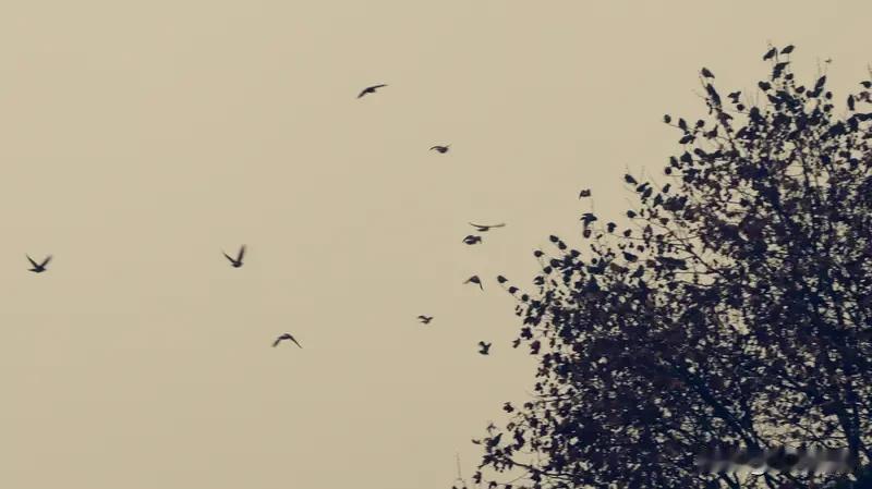 下联：“岁月浮沉总是歌”。
我觉得特别妙。岁月里有起有伏，把它比作一首歌，有激昂