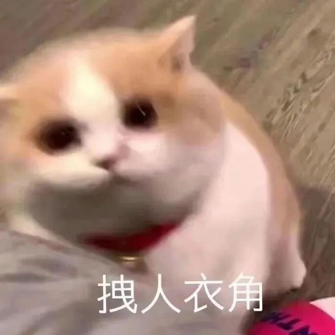 撒娇蹭蹭大法！谁来跟小猫咪约会+猫咪撒娇表情包，拿图喵喵[爱你]#这么会过七夕不
