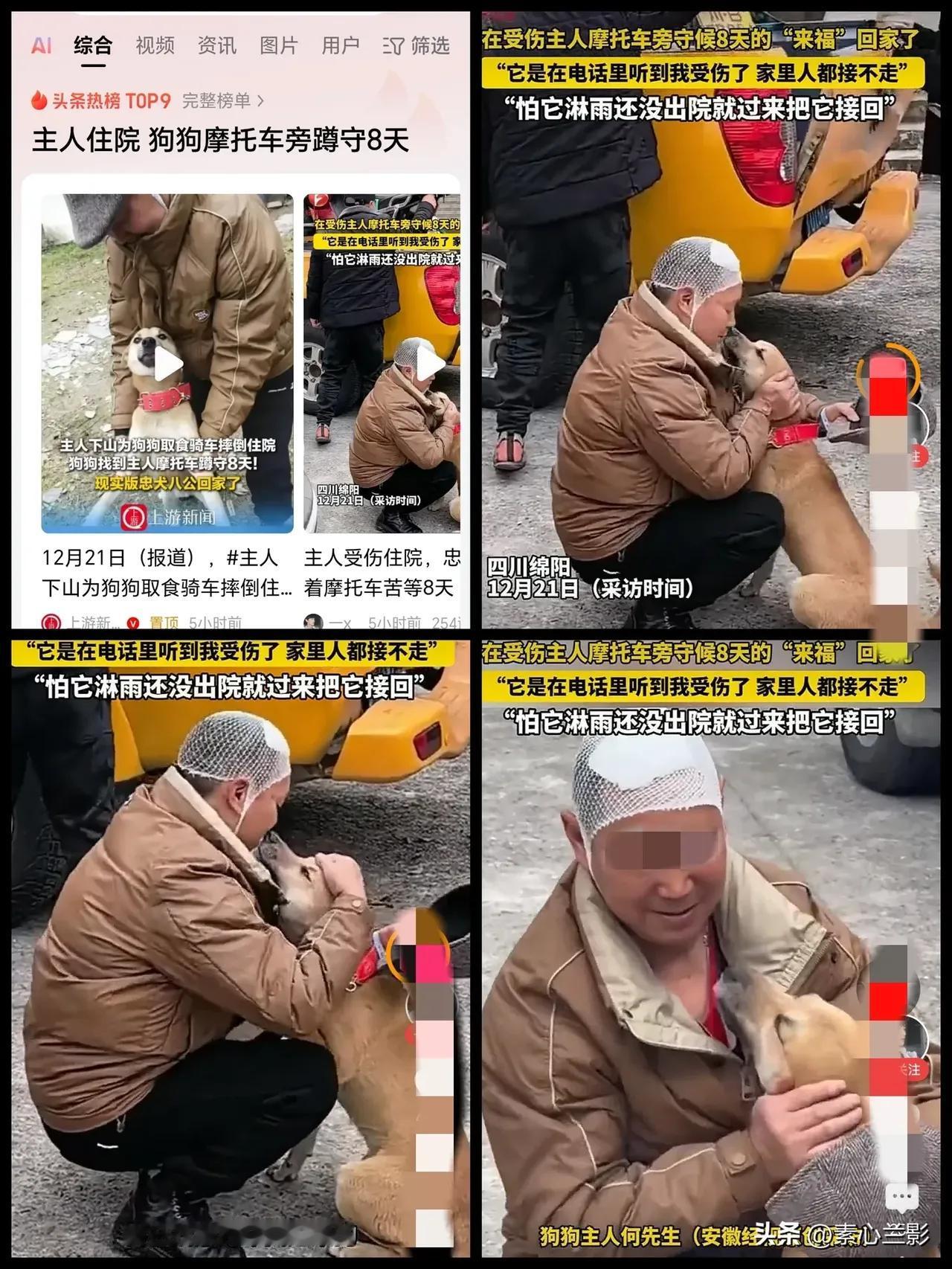 科学的尽头是玄学？绵阳土狗来福，用八天蹲守给出答案！
 
2025.12，养殖户