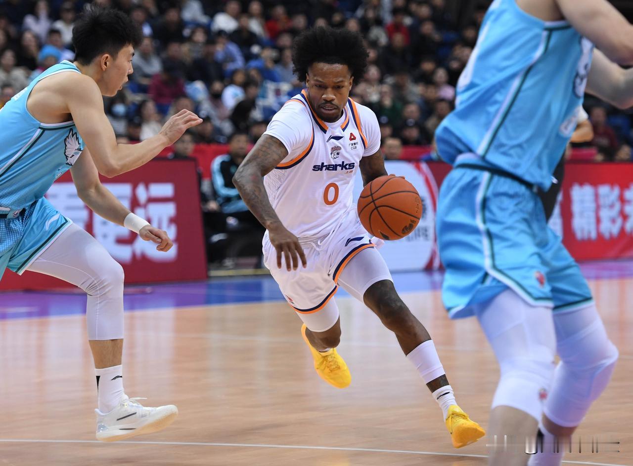 🔍 黑马球队的共性通常具备以下部分或全部特点：

· 年轻球员成长：队内年轻球