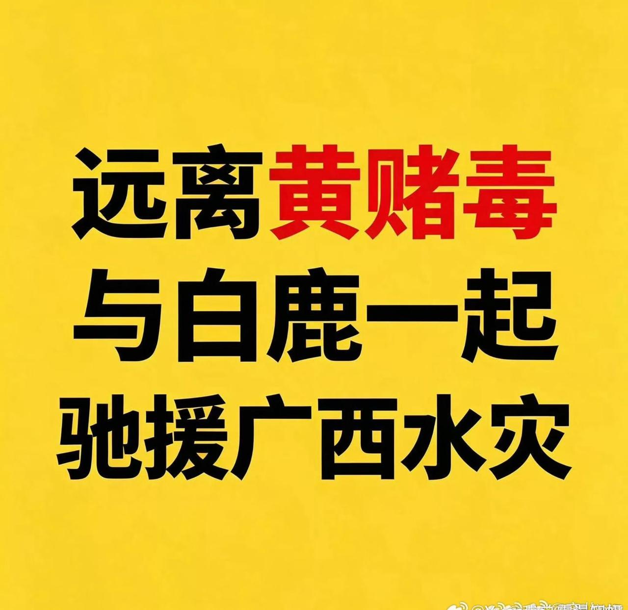司晓迪 事实是：白鹿根本不认识司晓迪，从无交集。 甚至按司晓迪说法，她还因为白鹿