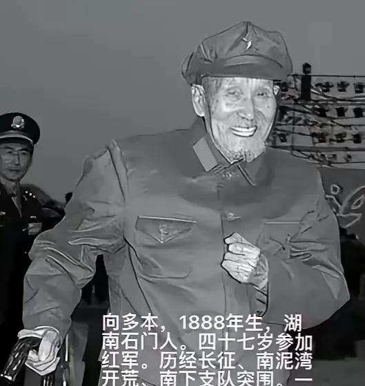 1954年，王震看到 “向多本” 的职务仍是 “班长” 时，忍不住大声说到：“向
