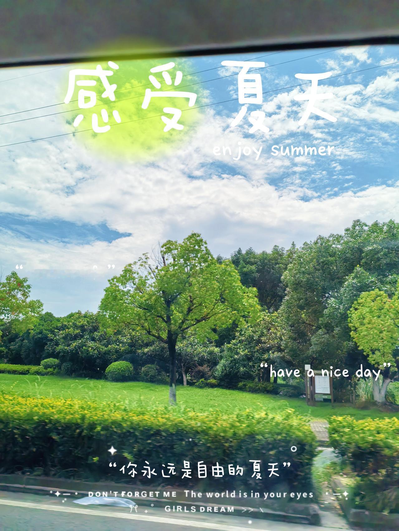 这个夏天，
愿你的快乐
像温度计的水银柱，
只升不降。