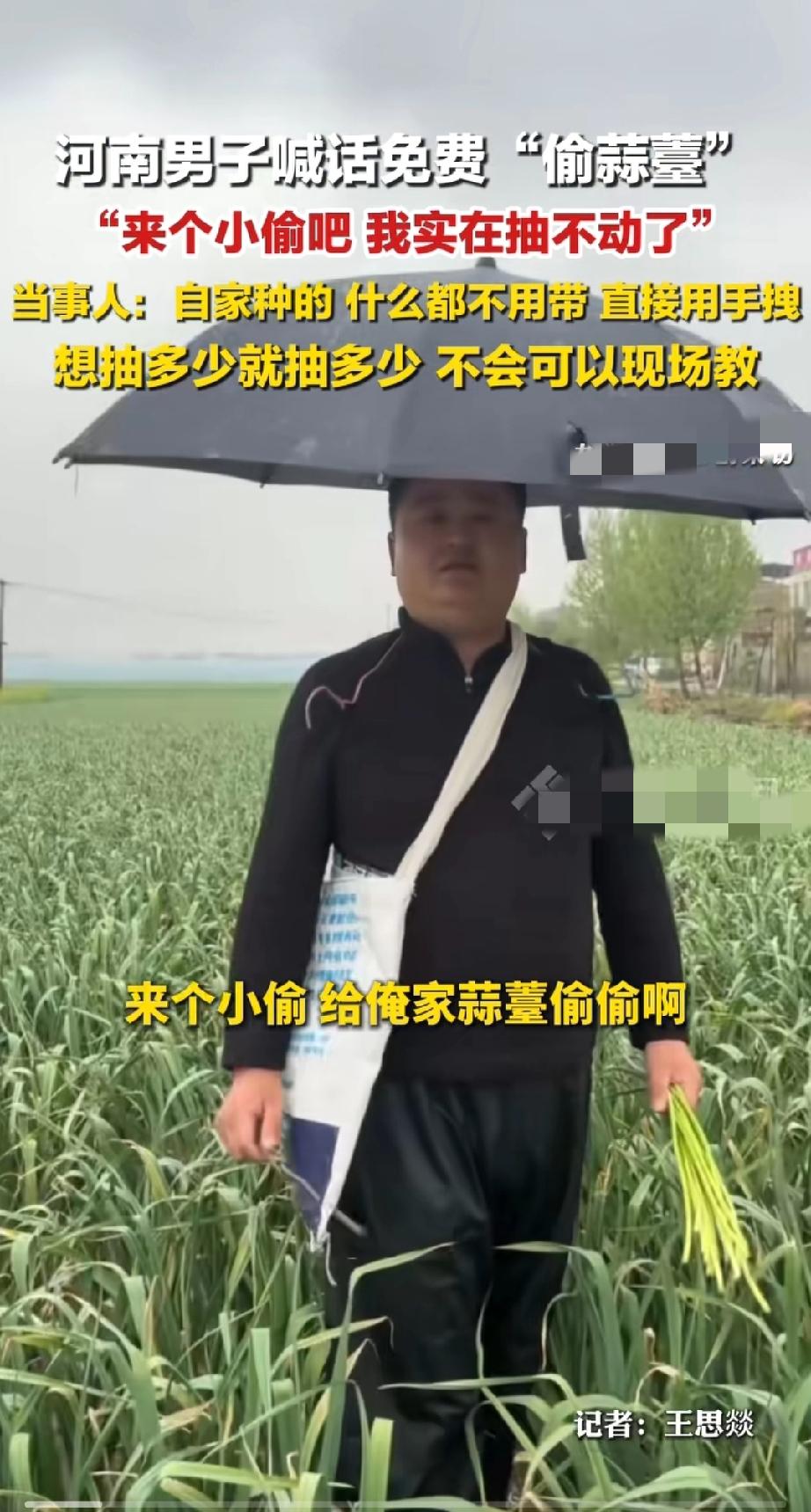 河南有个种大蒜的大哥，太会了！
 
他家蒜薹到时间必须得抽，不抽蒜头就长不大，一