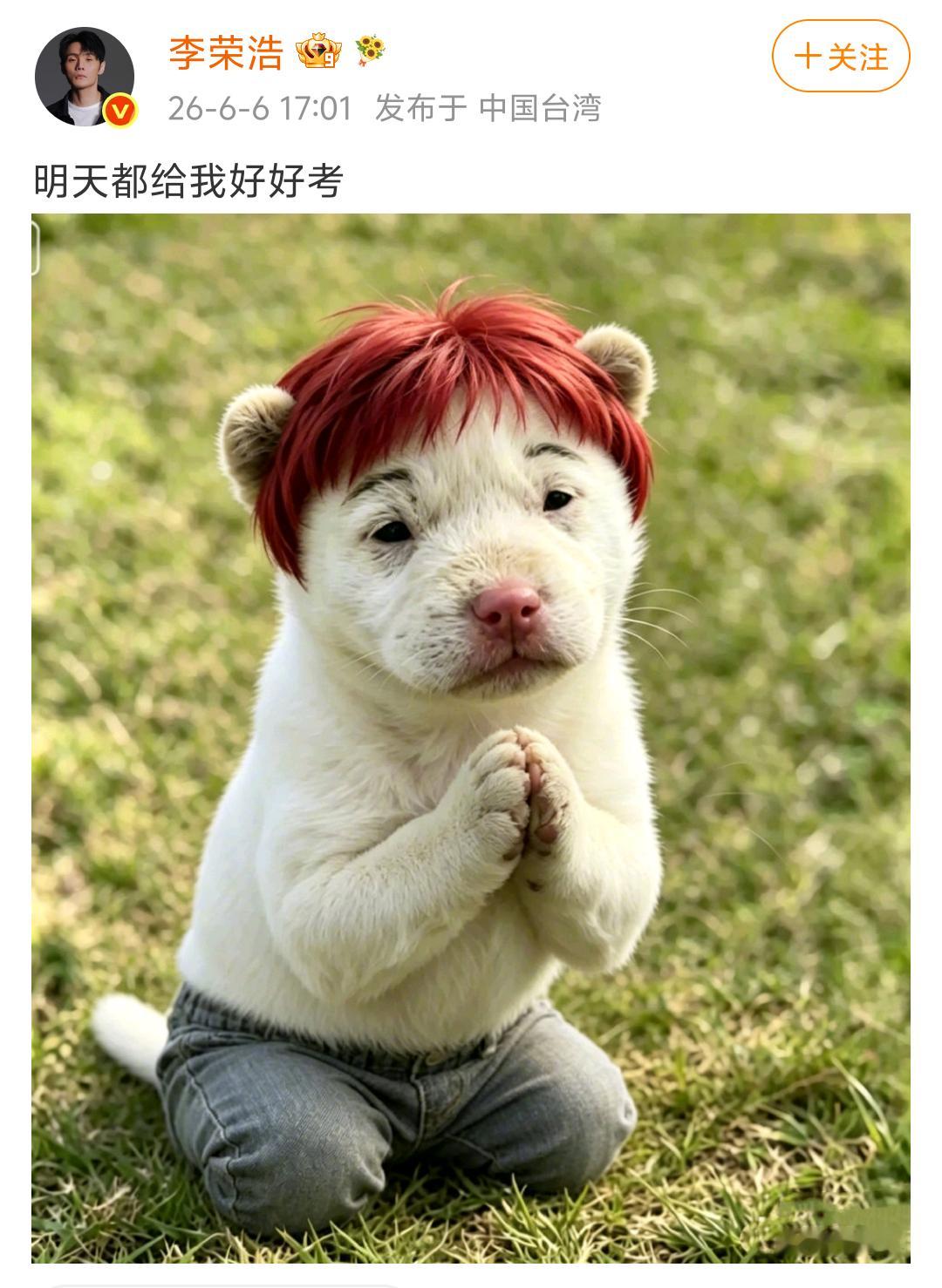 荣浩哥，有点过于拟人化了。 