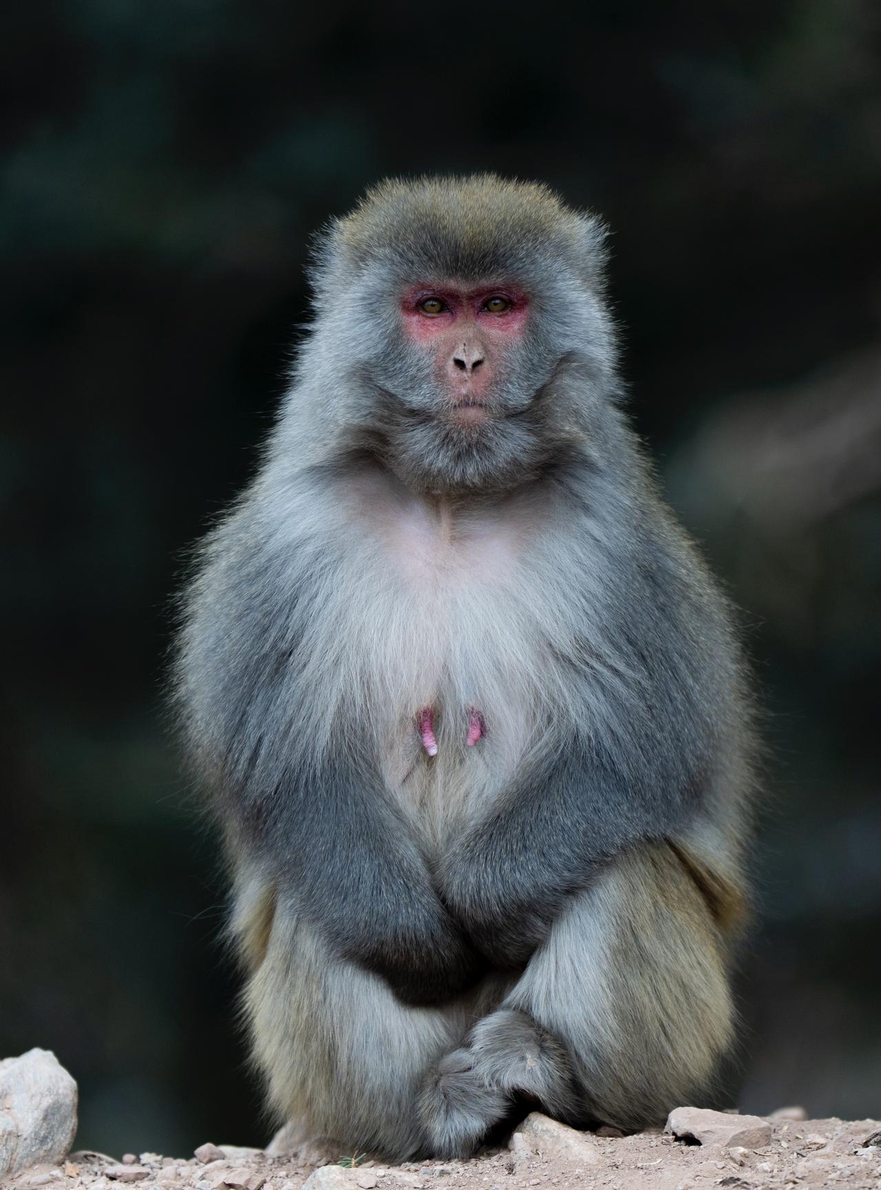 齐齐格果果摄影