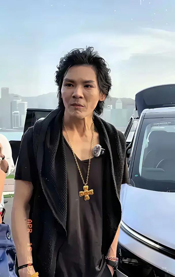 这还是我们认识的向家大少爷吗？
向佐何必要这样呢？
搞得自己不伦不类…
好好的向