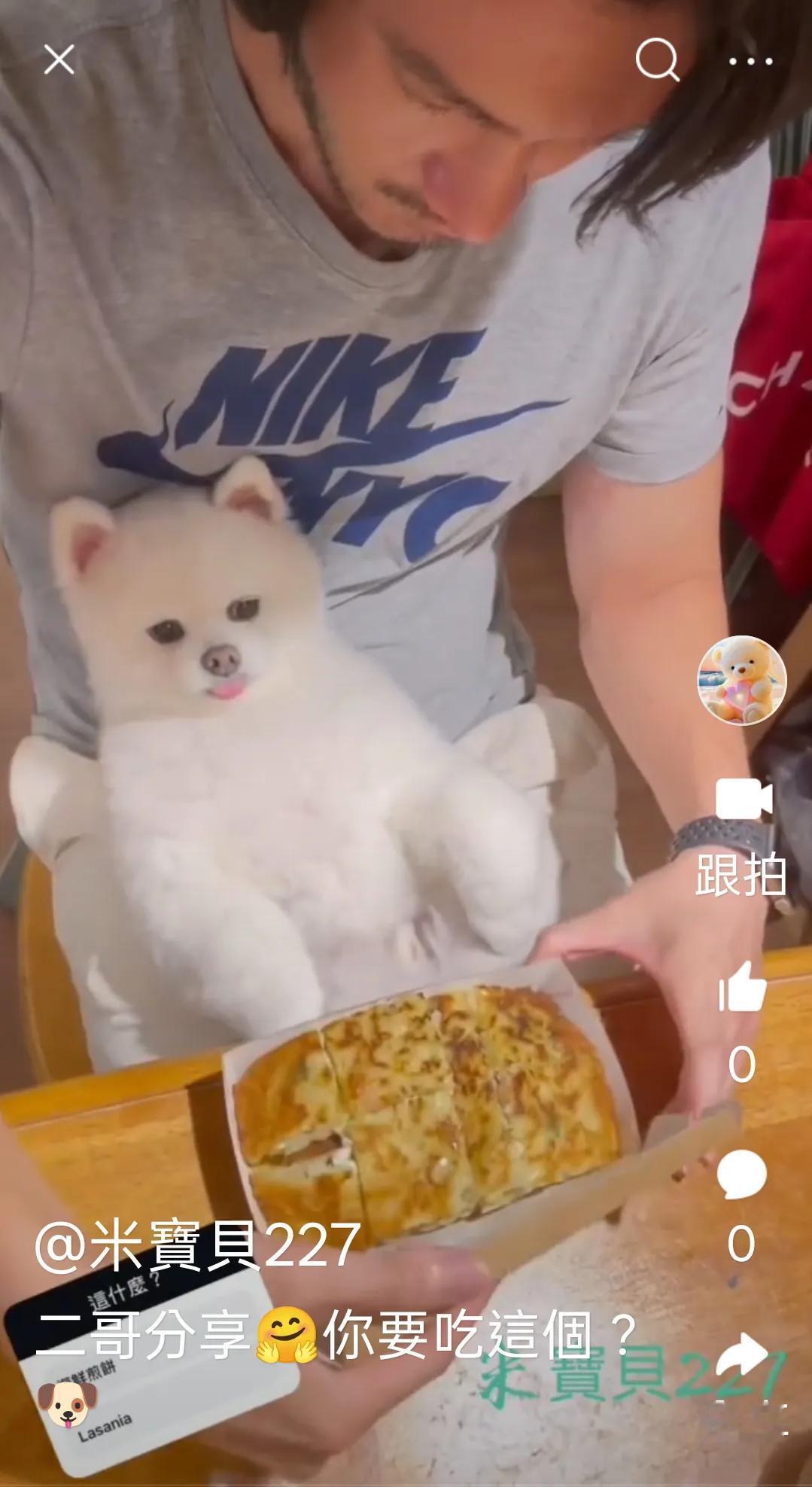 二哥今日分享🥘

二伯也很疼帝歐唷🐶

🍄影片在小視頻裡