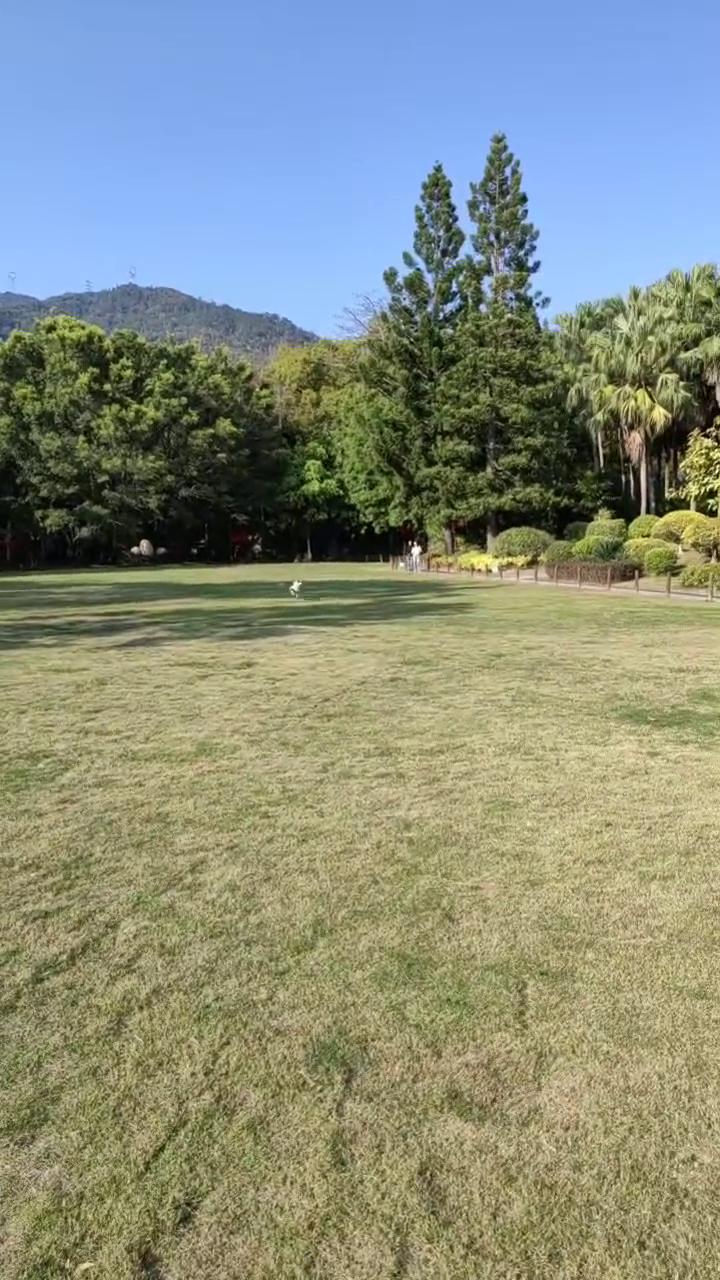 放大，过来，好棒。