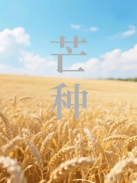 芒种农谚说不完

芒种是二十四节气当中的第9个节气，通常是在每年公历的6月5日~
