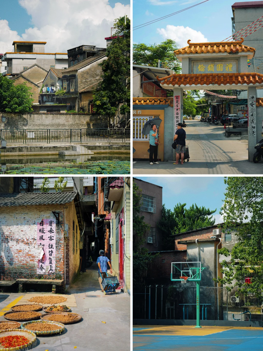 日杂风扫街｜夏日的广州新造镇老街📷