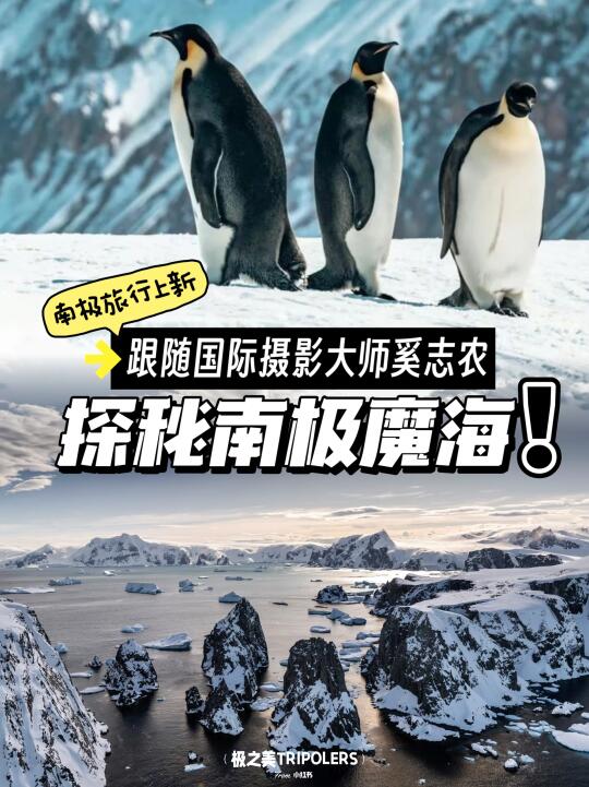 限定航次！奚志农领航，南极威德尔海+帝企鹅
