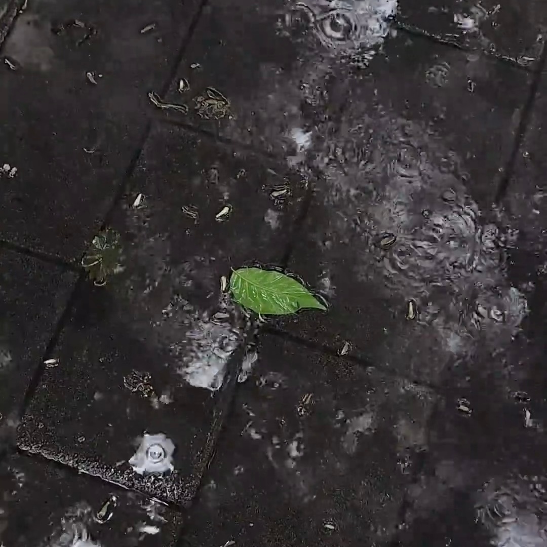 𝑆𝑒𝑐𝑟𝑒𝑡 🤷🏻“情绪像漏风的伞 雨下进心里时 连躲的地方都没