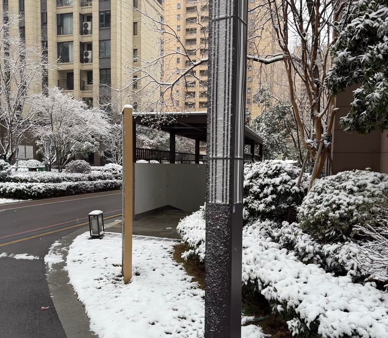 枯枝裹着厚雪凝成银枝，绿架覆着白绒衬得雪色更柔，小区里的草木都被初雪裹成了蓬松的