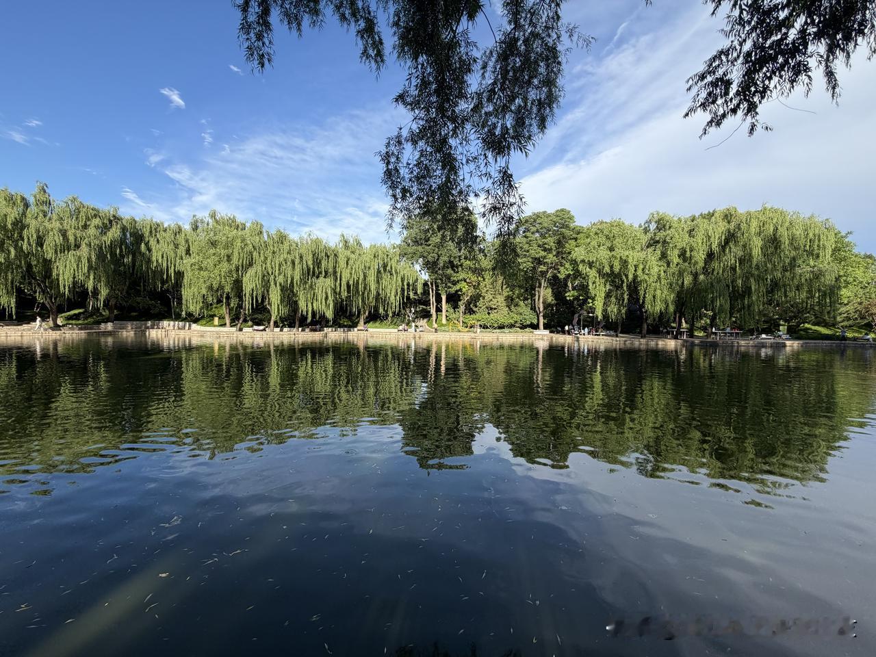 暖暖的阳光
此时无声胜有声
天空 北京 公园