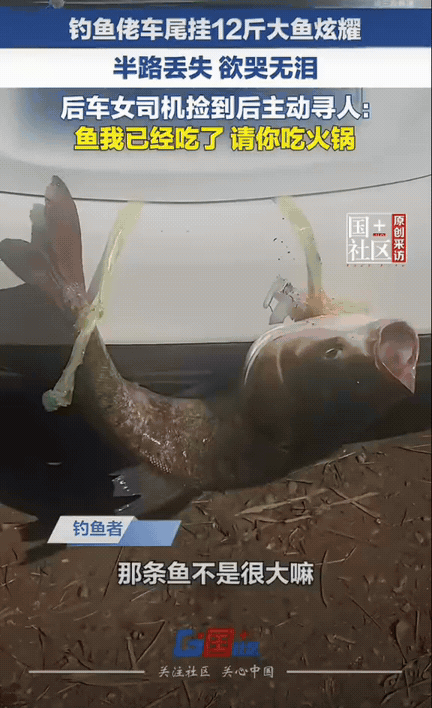 缘分来了挡不住！重庆一男子钓鱼收获12斤大鱼，心里美滋滋，特意拴在车尾，一路开车