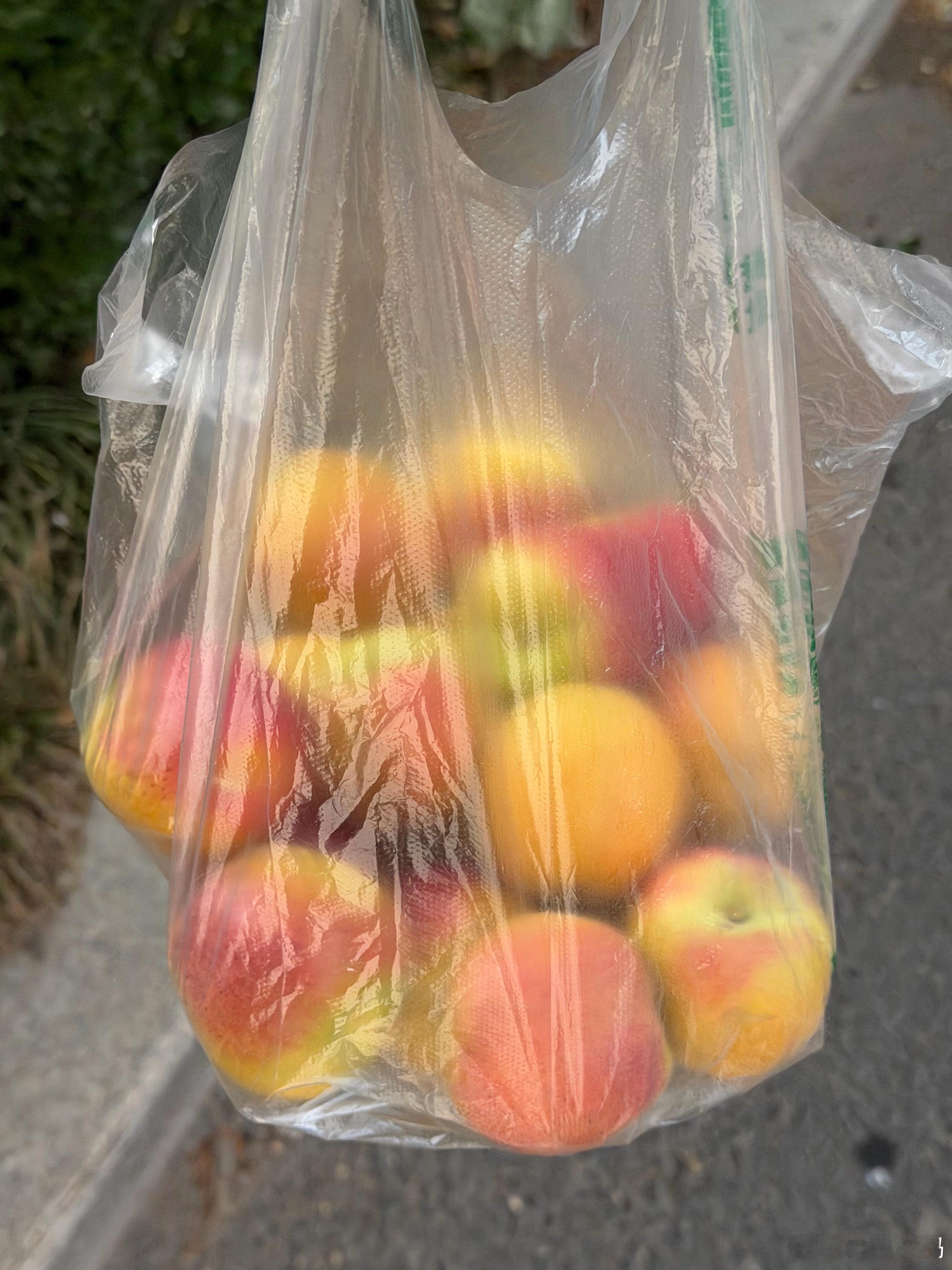 崂山路边好多提个小筐卖的，第一眼以为桃，原来是杏