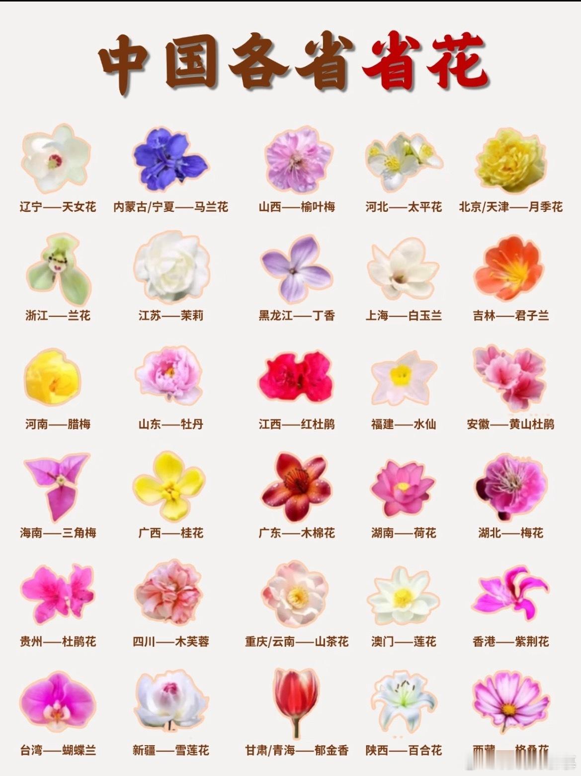 各省省花，来认领下，怎么感觉安徽不对呢 