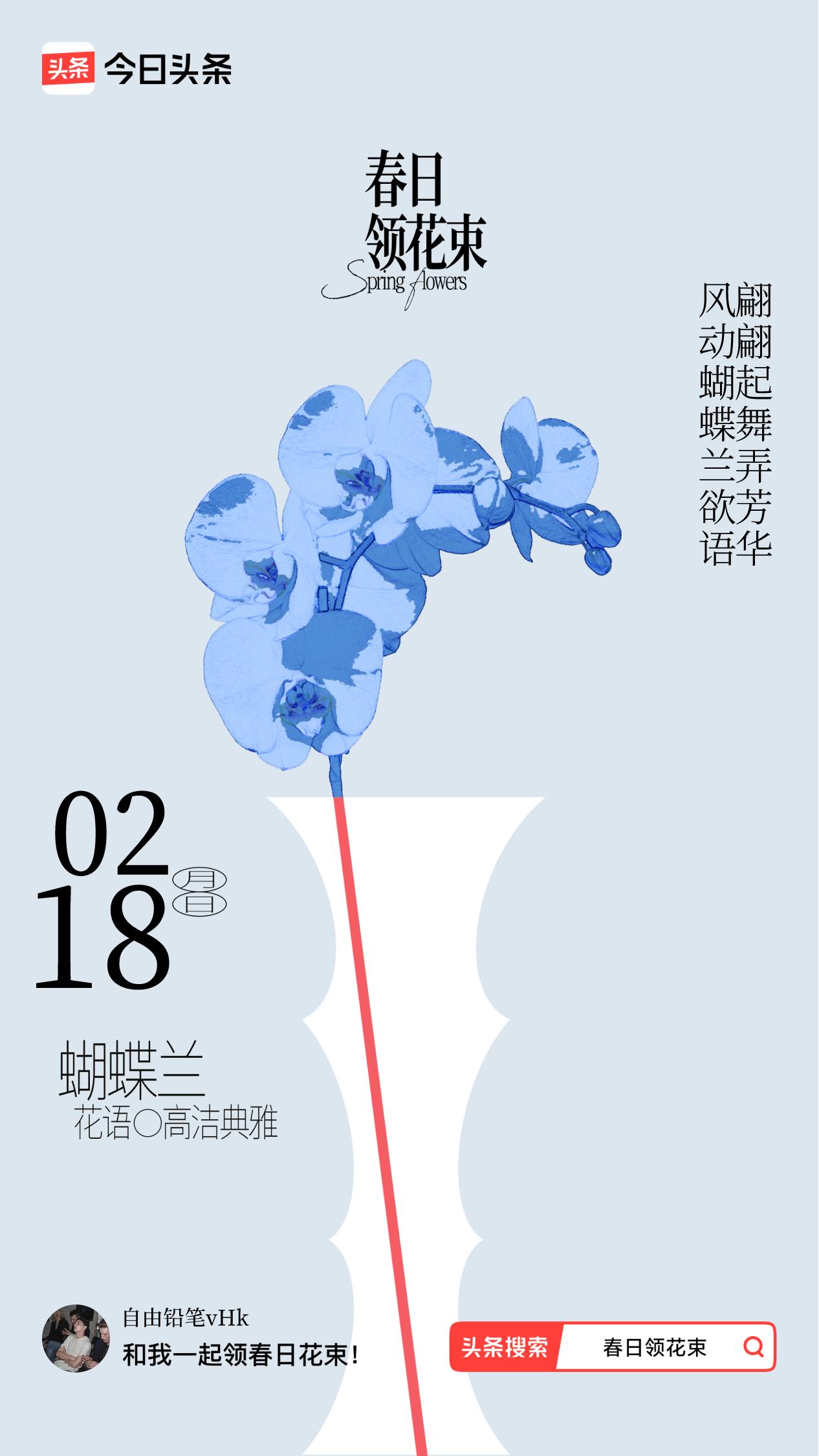 春日领花束我领到了春日花束：风动蝴蝶兰欲语，翩翩起舞弄芳华，戳这里👉🏻快来领