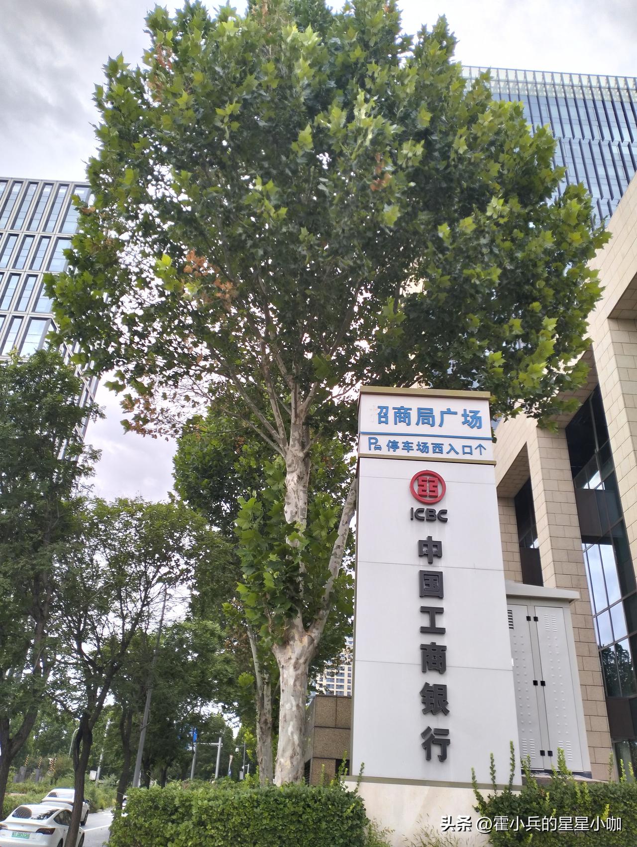招商还留了一手儿？