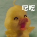 四福玩玩法律