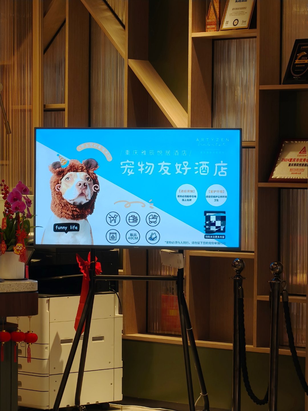 第一次见：宠物友好酒店 