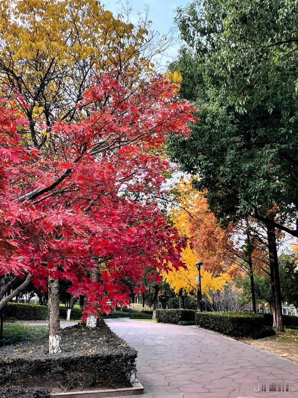 冬日幸运日打卡