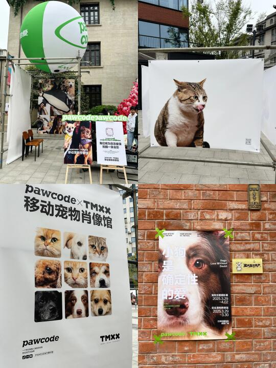 武汉 流浪动物摄影展‼️相互治愈！就在咸安坊