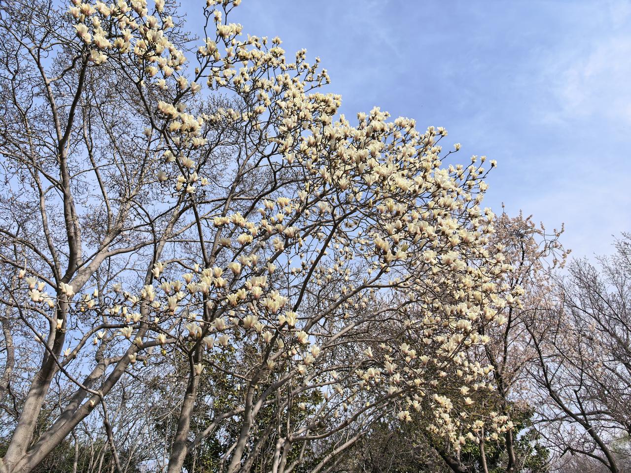 记录我的2026炒股也是修行。改掉自己的贪嗔痴。