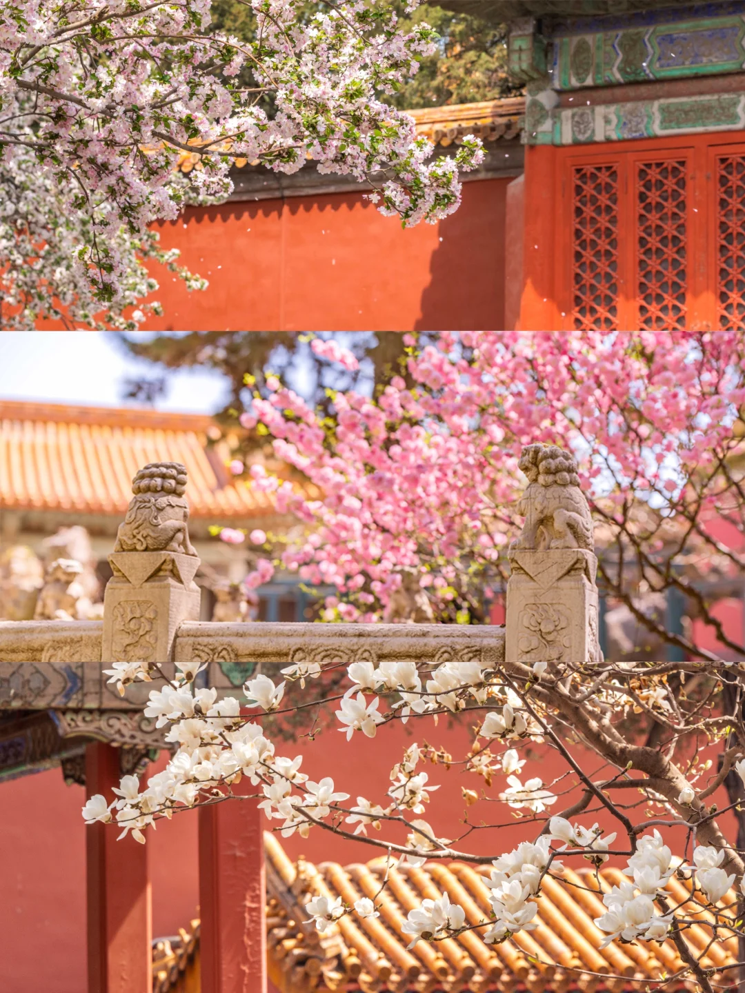 接下来的三个月，故宫是这样的…