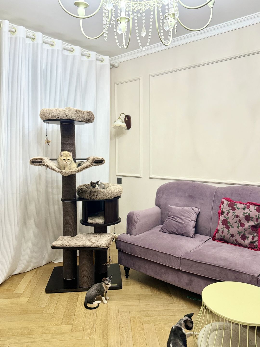 我的高颜值万能搭子🉑