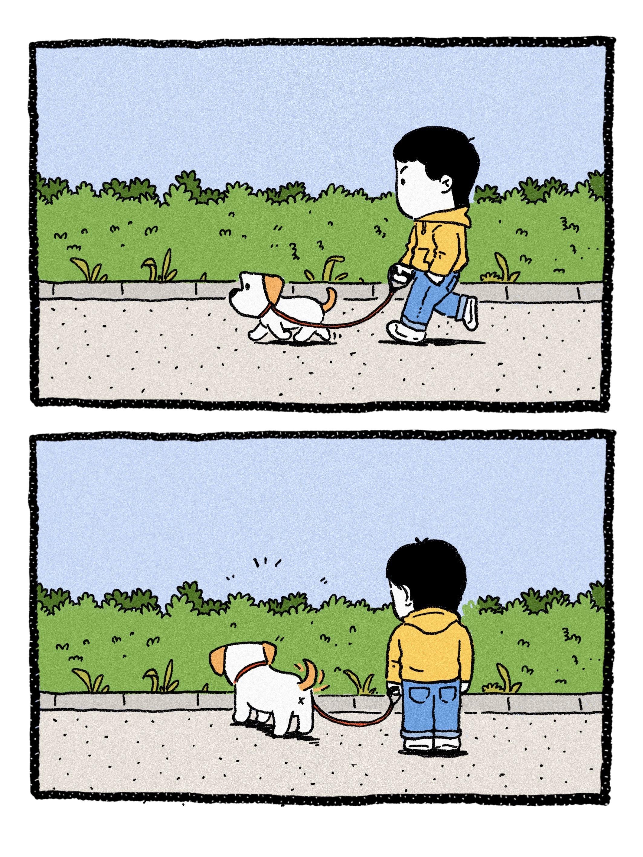 狗：我再也不惹猫了！记录一次受伤。