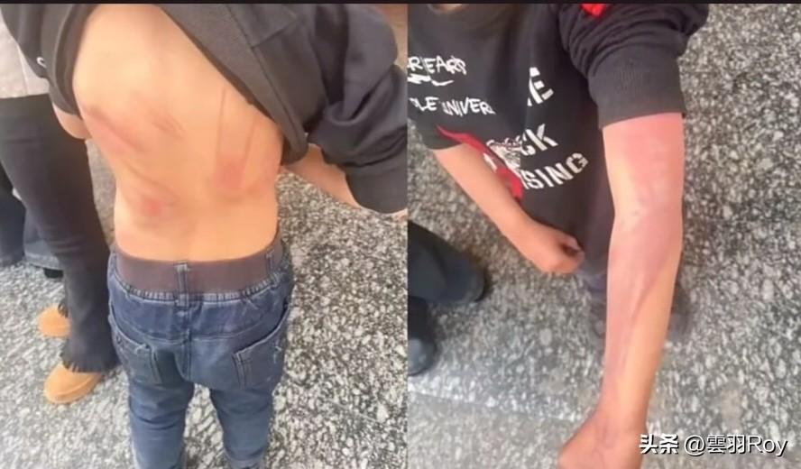 “孩子被亲爹后妈虐进地狱，网友竟喷生母：都怪你没按时看望孩子？”
湖南武冈那对小